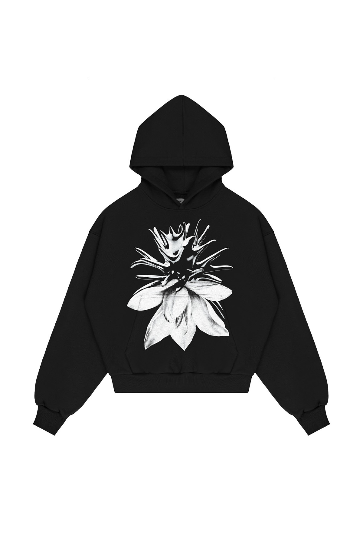 xbluza-lotus.jpg.pagespeed.ic.